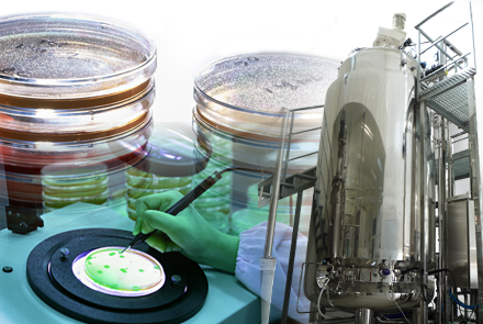 <!--:es-->Fermentaciones microbianas<!--:--><!--:en-->Microbial fermentations<!--:-->